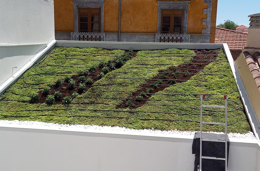 Hortus Vertical: Soluciones innovadoras para cubiertas vegetales y jardines verticales