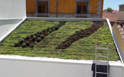 Hortus Vertical: Soluciones innovadoras para cubiertas vegetales y jardines verticales