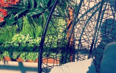 Explorando la Belleza y la Funcionalidad de Hortus Vertical en Jardines Artificiales Verticales