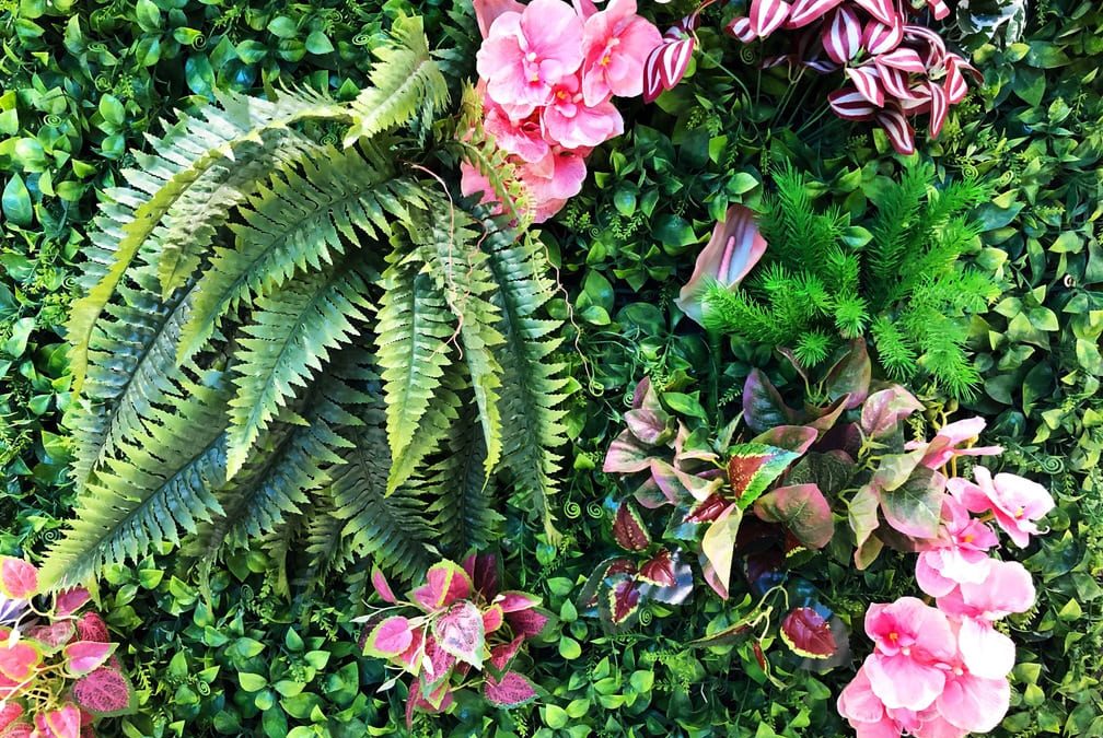 3 ingenious ideas to create an outdoor green wall