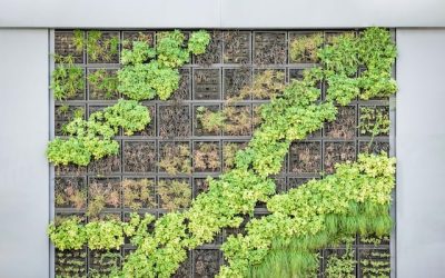 Explorando la Elegancia: Jardines Verticales Artificiales y Naturales de Hortus Vertical